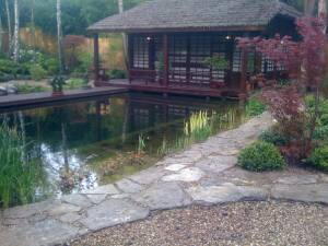 japanese garden design, paramount plants