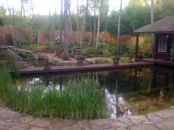 japanese gardens, design, paramount