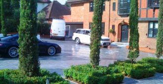 Tuscan Cyprus, Formal Design, Paramount Plants