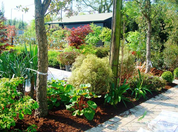 Top tips for maintaining your garden