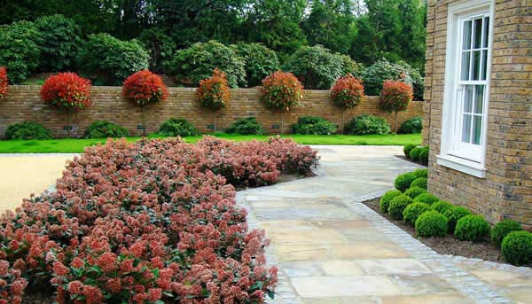 Free Garden Design and Landscaping - London Garden Centre