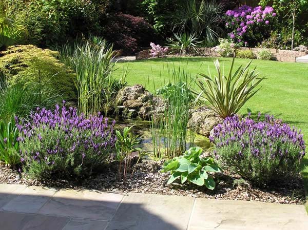 London Garden Design and Landscaping by Paramount Plants