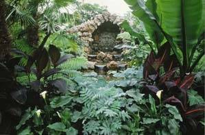 Chelsea Flower Show - Cascade Garden designed by Myles Challis for Paramount Plants