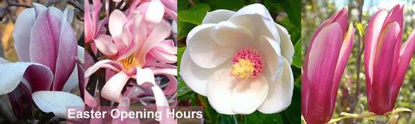 London Garden Centre Easter Opening Hours London Garden Centre Easter 2012 Opening Hours