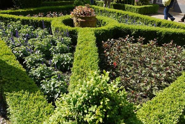 Formal garden design using box hedges for the parterres