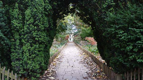 Acer walk - leading to the Kyoto Garden in Holland Park