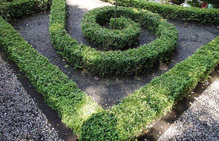 Buxus hedging does not require much effort to stay in shape.