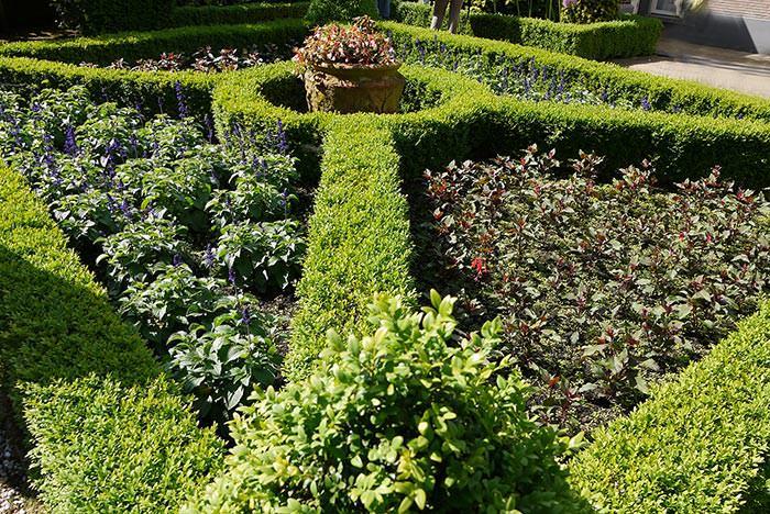 Box topiary hedging is bound to add visual interest to the garden.