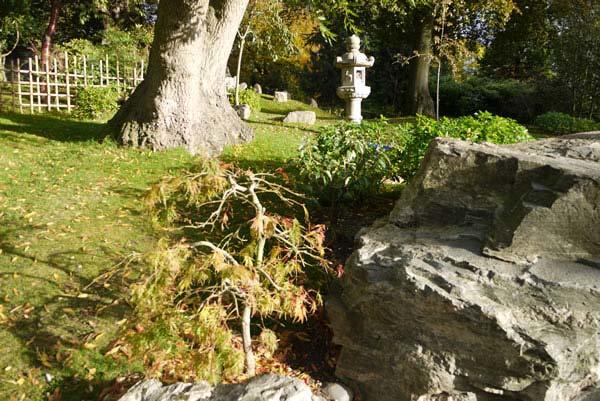 Japanese garden - Holland Park