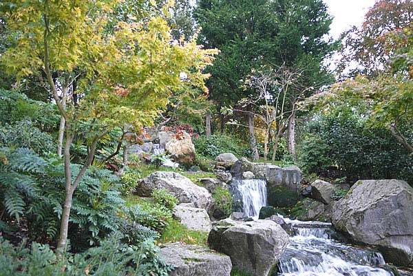 Water features in a Japanese garden