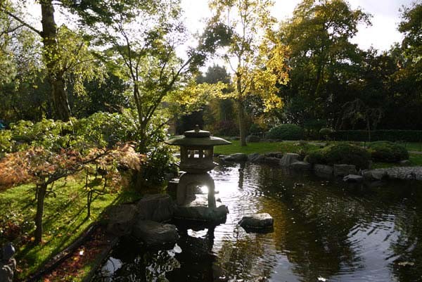 Kyoto Japanese Garden lake with koi carp