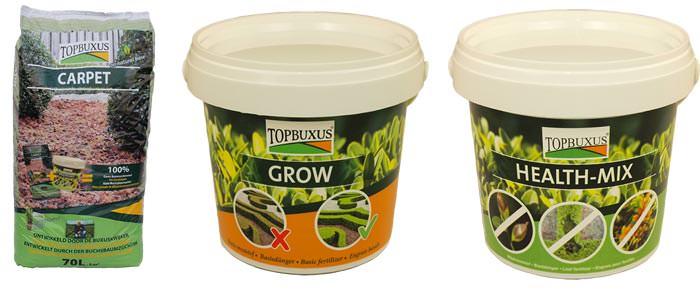 Using TopBuxus products is recommended if yo have box topiary or hedge.