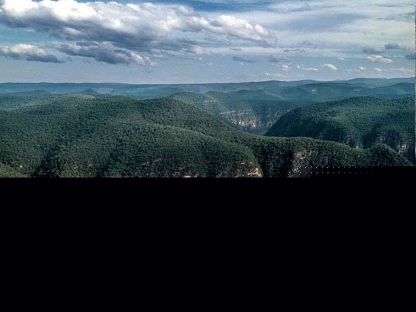 Ariel view of the Wollemi Pines park in Australia