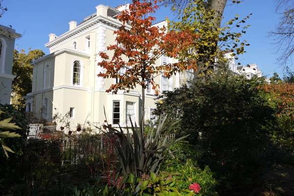 Japanese Acers in Notting Hill Communal Gardens