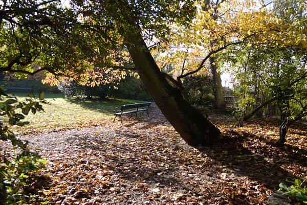 Rosmead Garden - Film Location for Notting Hill