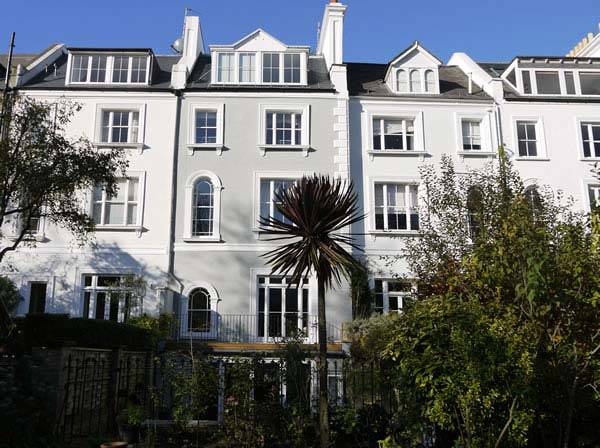 Purple Cordylines growing in Notting Hill's communal gardens