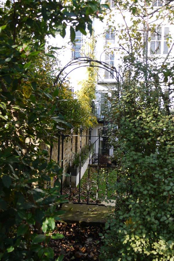 Wisteria and Camellias in romantic garden designs, Notting Hill