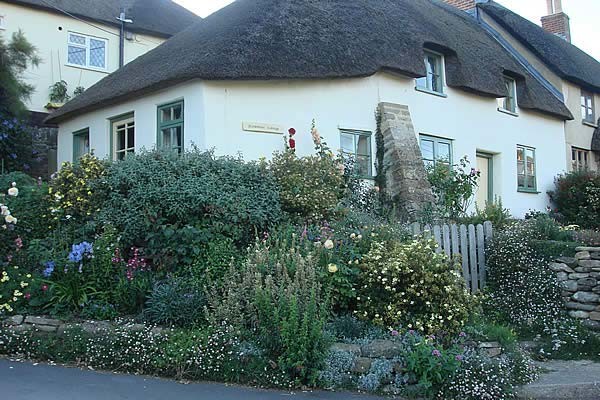 An English country cottage garden