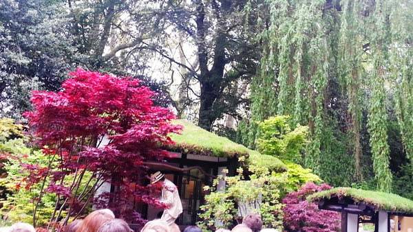 Winner of The Best Artisan Garden at The Chelsea Flower Show 2013