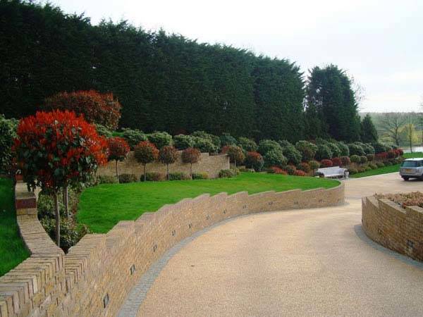 Best Hedging Plants: Five Top Picks, Five Special Offers - Leylandii