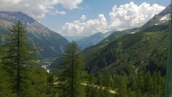 Pine Trees growing on the mountainsides in Lombardy - Northern Italy 