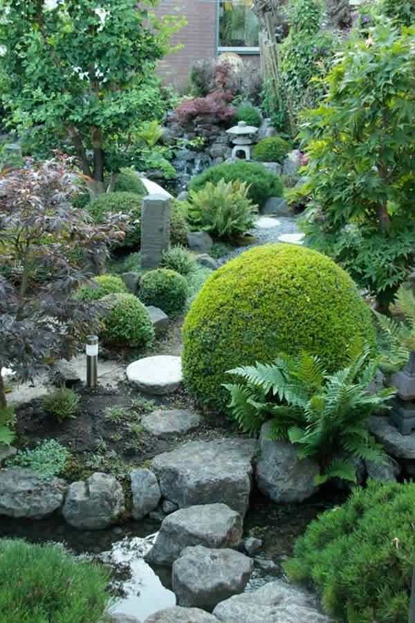 A Japanese Style Garden, Japanese Garden Design And Plants