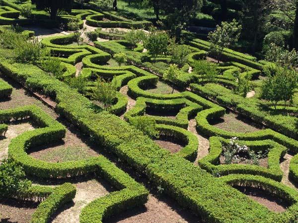 The Labyrinth garden - beautifully shaped buxus hedges in aesthetics formal repetitive patterns. 