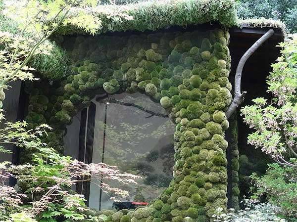 Togenkyo - A Paradise on Earth, designed by Ishihara Kazuyuki | RHS Chelsea Flower Show Winner 2014