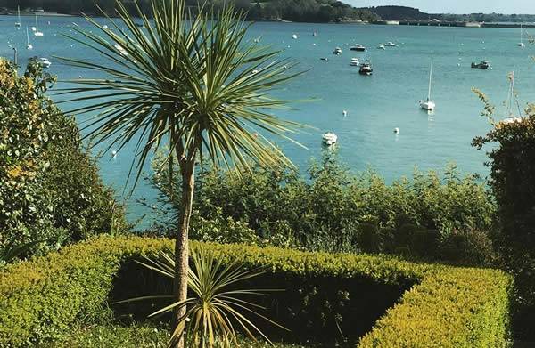 Plants for Coastal gardens for sale online UK delivery. 