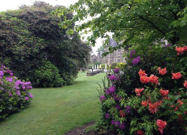 Azaleas and Rhododendrons at Ashdown Park Gardens