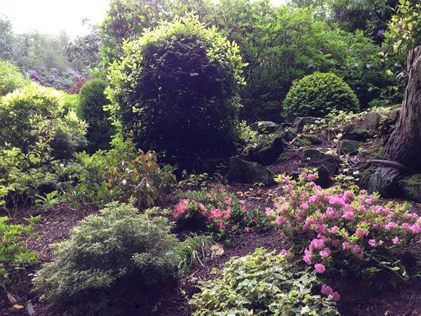 Contemplation Garden - Ashdown Park