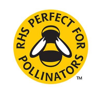 Plants that are perfect for pollinators