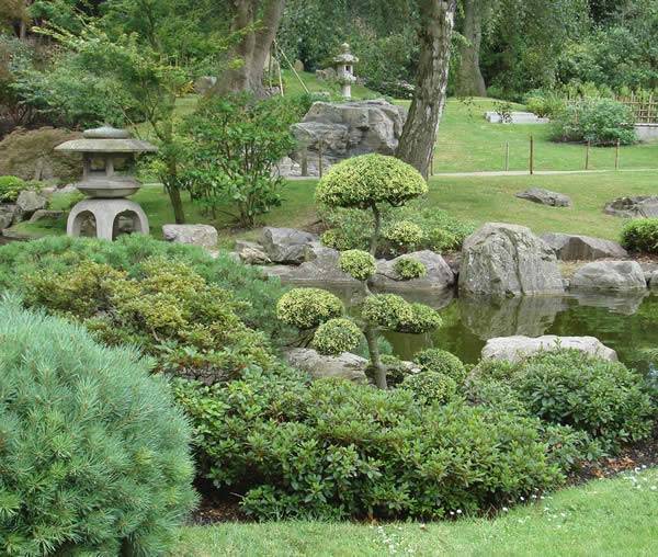plants for Japanese gardens