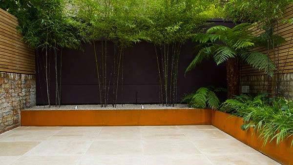 John Davies designed contemporary garden with Black Bamboo and Tree Ferns