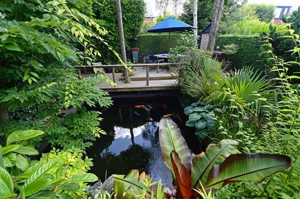 Protective hedging shields the garden from cold winds at Nick Wilson's garden in Leeds