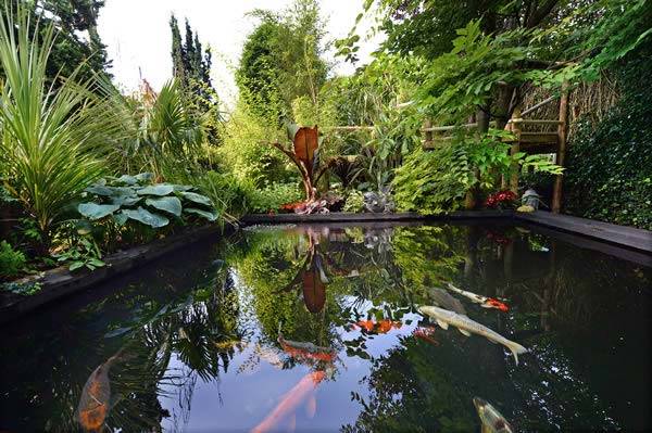 Koi carp ponds in Nick Wilson's garden in Leeds