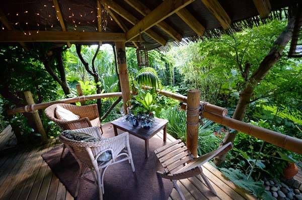 Nick Wilson's jungle lodge hardy exotic garden in Leeds