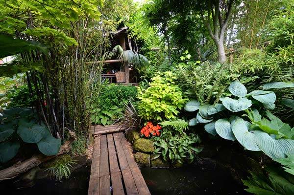 Black bamboo, ferns and hostas at this tropical garden design in the UK