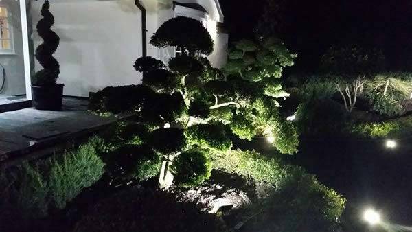 Garden lighting for house security