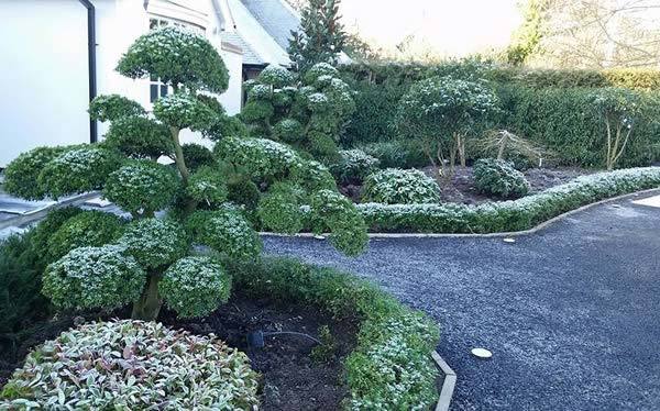 2015 Winter Garden Landscaping by Paramount Plants