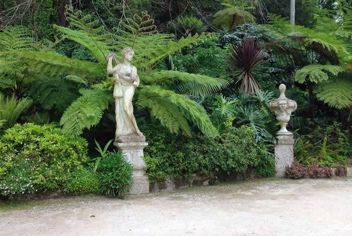 Garden Architecture – Tree Ferns and garden sculpture