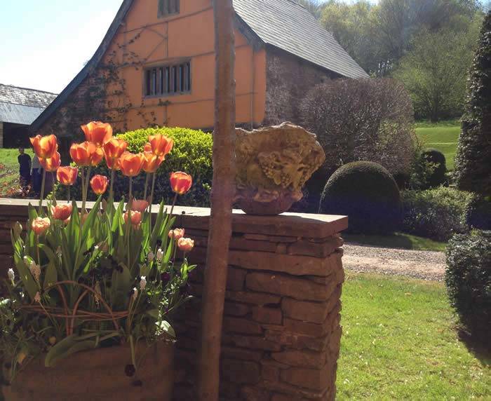 The gardens at Allt-y-bela