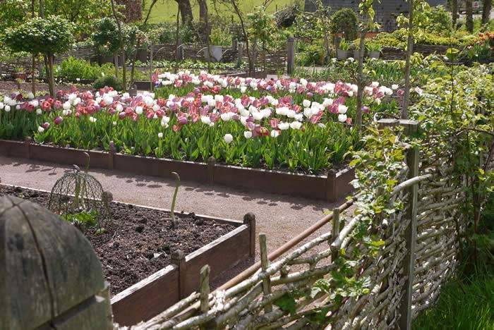 Kitchen Garden at Allt-y-Bela