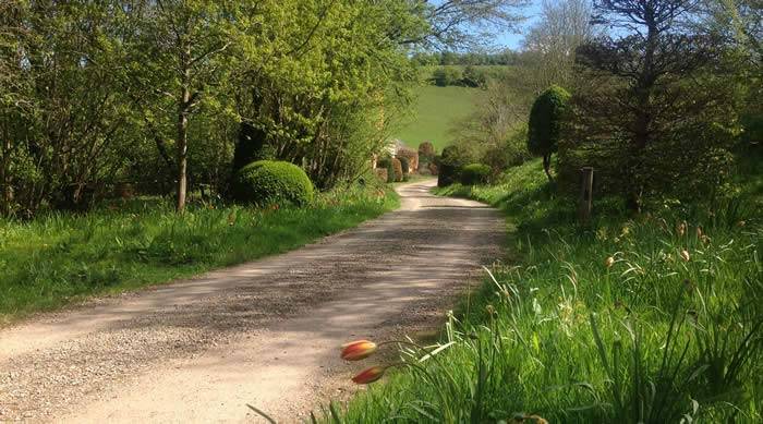 Allt-y-Bela Garden, Wales