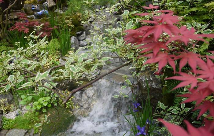 Water feature - framed with spectacular foliage colour