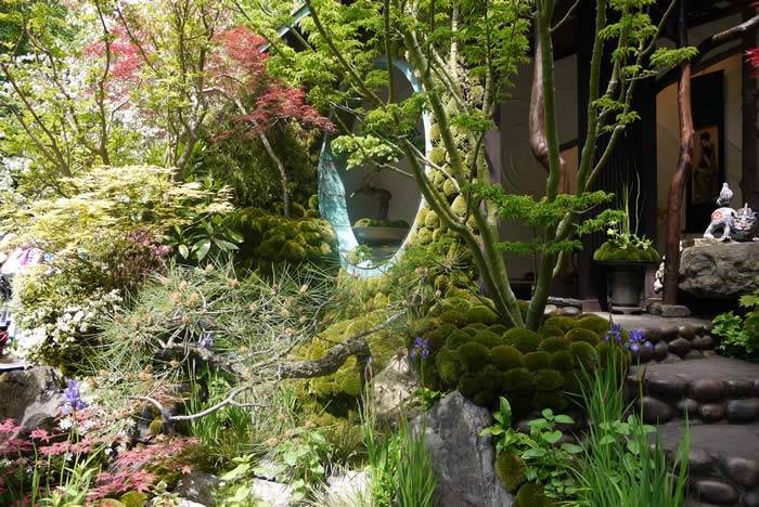 Japanese Garden Chelsea Flower Show 2015