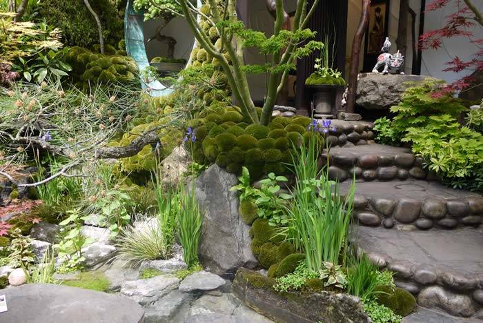 Beautiful ornamental mosses create a lovely soft ambiance.