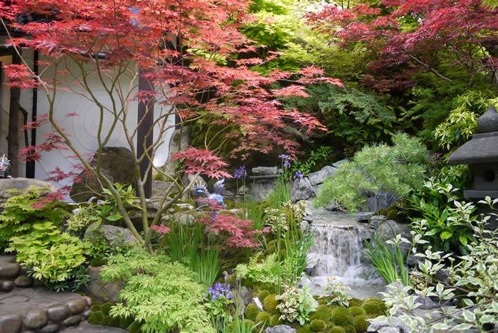 Japanese Garden - The water feature flows through calming stone and the pathways are embellished with rounded cobles