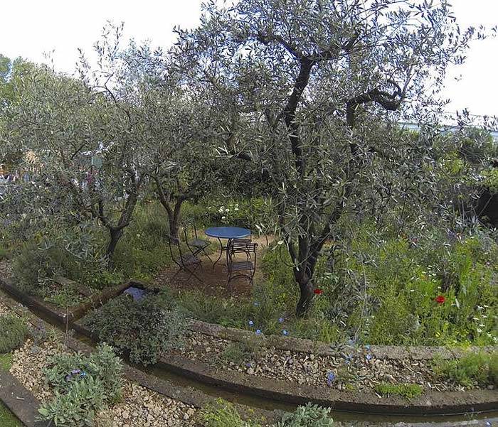 Charming seating area shaded by a grove of olive trees