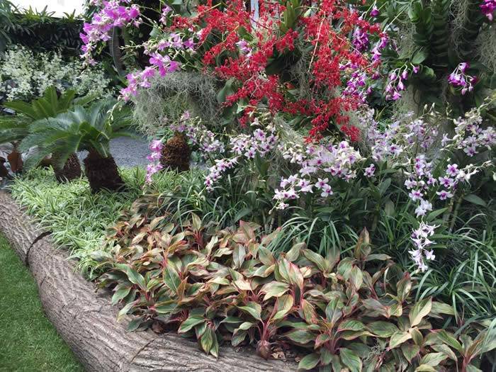 Singapore Garden Chelsea 2015 – old tree trunks mark the borders